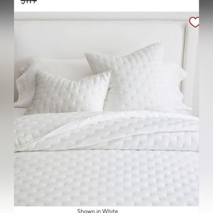 Pottery Barn tencel lyocell white euro shams set of 2